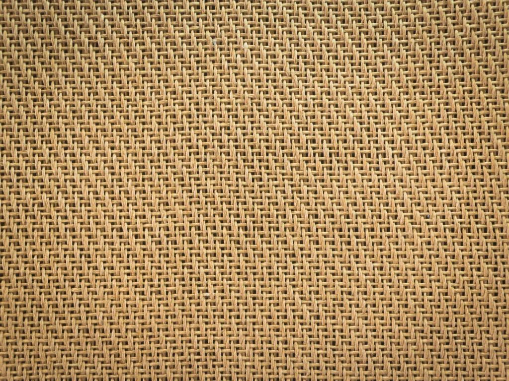 Mesh